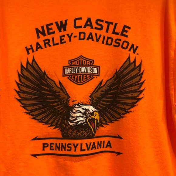 Harley Davidson 2023 New Castle Pennsylvania Unisex Size L - Picture 4 of 15
